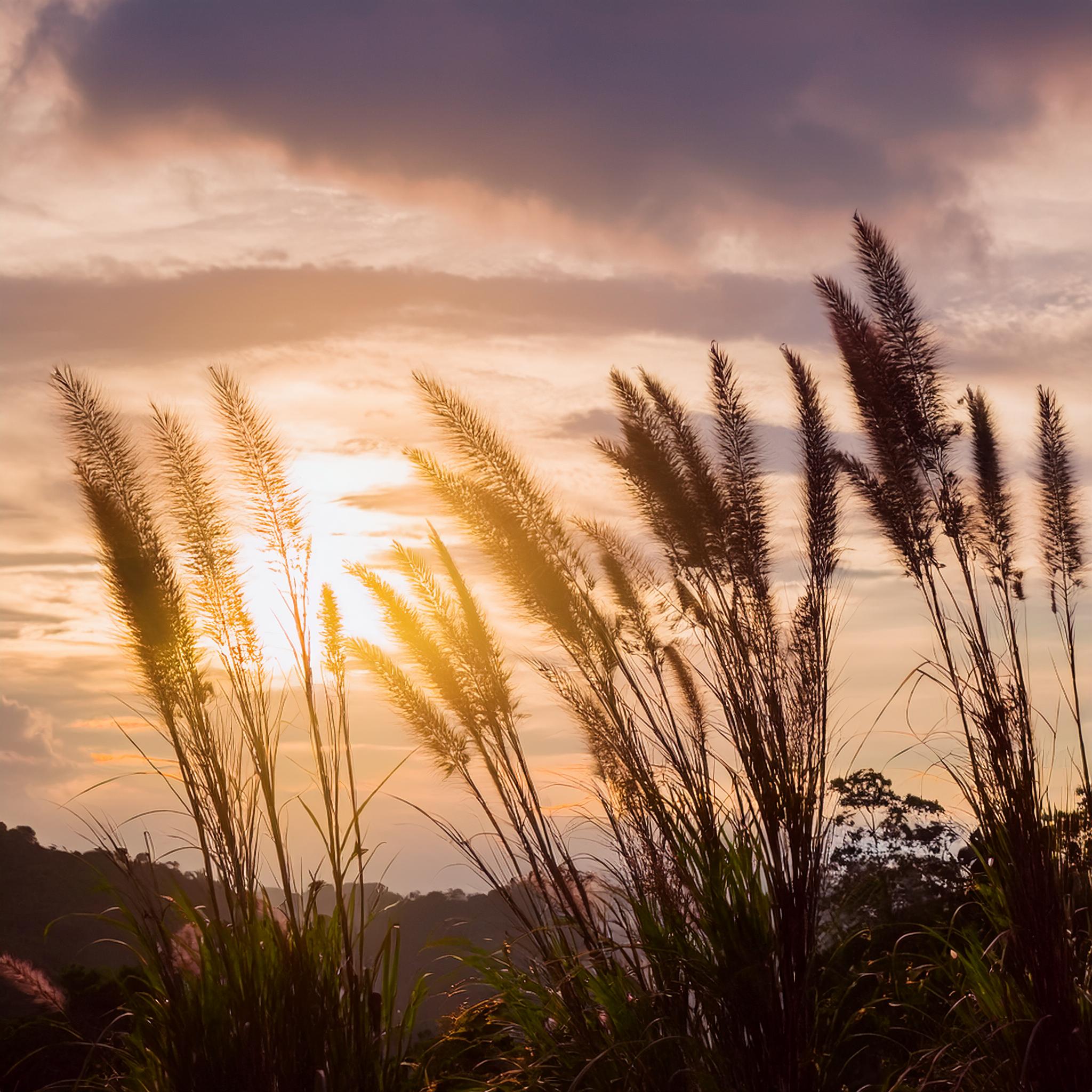 Nazorg na het verlies van je kind